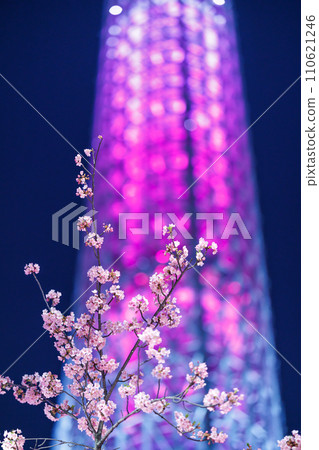 Tokyo Sky Tree Kawazu Cherry Blossom Light-up 110621246