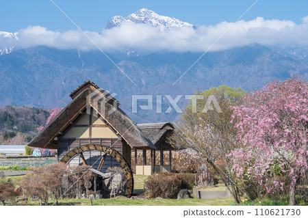 ``Yamanashi Prefecture'' Clear skies and cherry blossom blooming scenery at Suisha-no-Sato Park ``Yamanashi Prefecture'' Clear skies and cherry blossom blooming scenery at Suisha-no-Sato Park 110621730