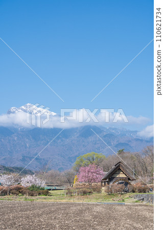``Yamanashi Prefecture'' Clear skies and cherry blossom blooming scenery at Suisha-no-Sato Park 110621734
