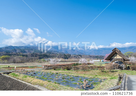 「山梨郡」晴空萬裡、櫻花盛開的翠社之裡公園 110621736