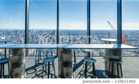 View from the indoor observation deck on the 45th floor of "Tokyo" Scramble Square 110621992