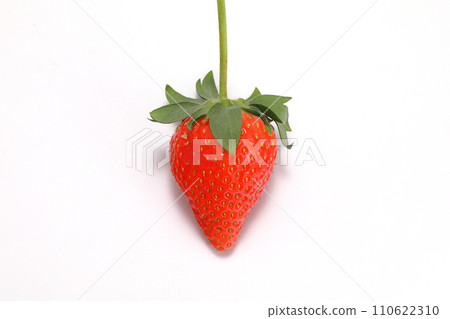 草莓彌生姬 110622310
