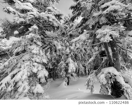 Spectacular views of the Northern Alps from the Nishihotaka exit of the Shinhotaka Ropeway 110622486