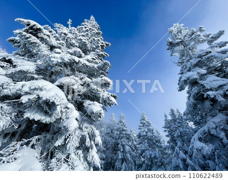 Spectacular views of the Northern Alps from the Nishihotaka exit of the Shinhotaka Ropeway Spectacular views of the Northern Alps from the Nishihotaka exit of the Shinhotaka Ropeway 110622489