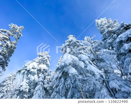 從新穗高纜車西穗高出口眺望北阿爾卑斯山的壯麗景色 110622490