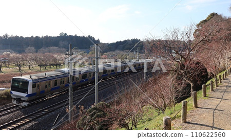 Train from Kairakuen 110622560