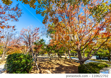 水邊之森公園的紅葉【長崎市】 110622702
