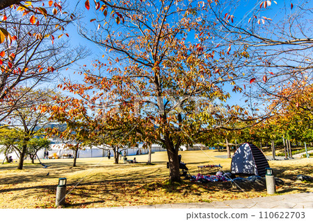 水邊之森公園的紅葉【長崎市】 水邊之森公園的紅葉【長崎市】 110622703