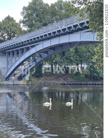 Swan 110622810
