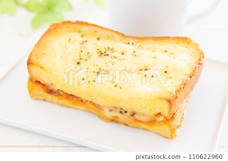 Delicious croque monsieur 110622960