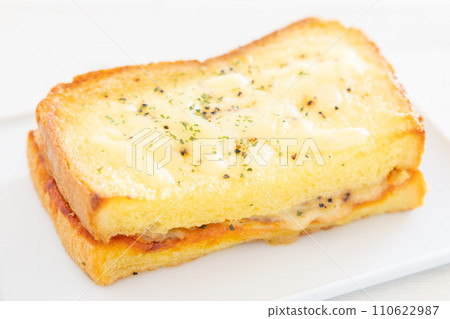 Delicious croque monsieur Delicious croque monsieur 110622987