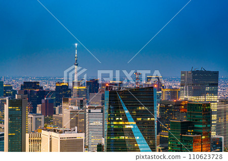 [Tokyo] Night view of big city 110623728