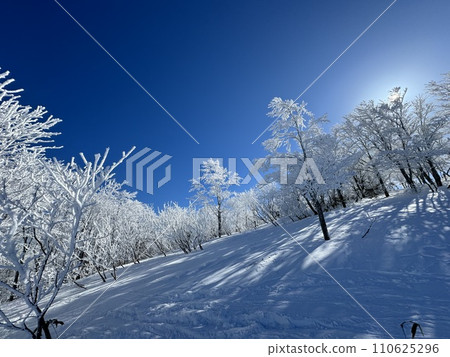 Hoarfrost and blue sky in the northern area of Nekoma Mountain in Fukushima Prefecture in January 2024 Hoarfrost and blue sky in the northern area of Nekoma Mountain in Fukushima Prefecture in January 2024 110625296