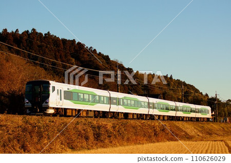 E257 series limited express Kaiun Naritasan Hatsumode Musashino train dyed red by the setting sun 110626029