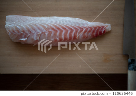 red sea bream fence 110626446