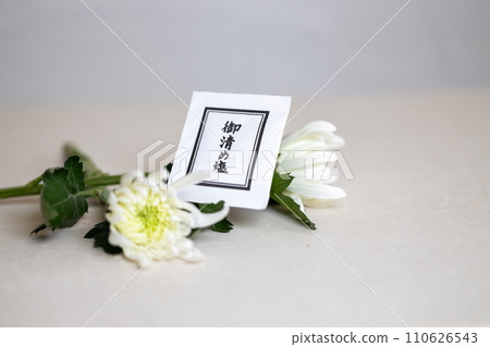 白菊花和淨化鹽 110626543