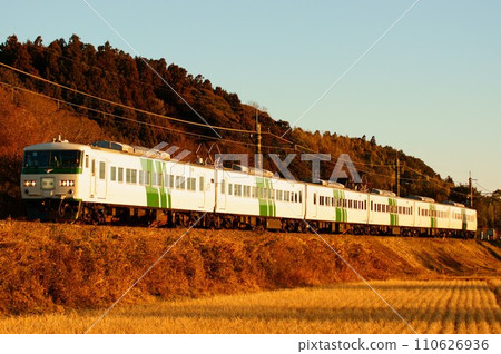 [成田線] 夕陽染上色彩的列車，185系列 110626936