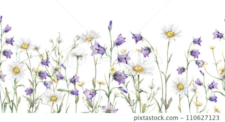 Seamless border watercolor Daisy and bluebell. Hand drawn illustration of Chamomile. White and violet blossom flower on isolated background. Drawing botanical invitation cards. paint summer wildflower 110627123