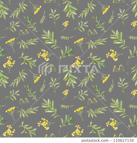 Seamless pattern watercolor common tansy. Yellow field flowers. Hand drawn illustration isolated background. Wallpaper with botanical medicinal wildflowers Seamless pattern watercolor common tansy. Yellow field flowers. Hand drawn illustration isolated background. Wallpaper with botanical medicinal wildflowers 110627138