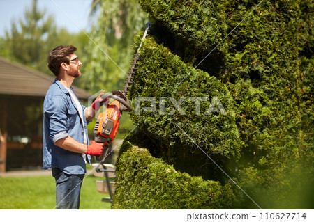 Skillful male gardener with electric hedge trimmer in topiary park. Side view of professional worker looking up at thuja tree, inspecting, while pruning in garden in summer. Concept of pruning time. 110627714