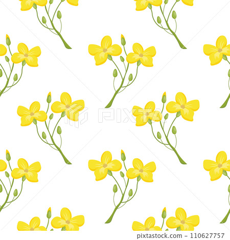 Seamless pattern, twigs with yellow mustard flowers on a white background. Print, background, vector 110627757