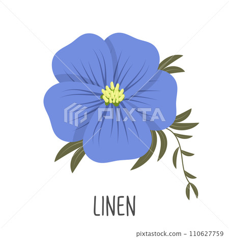 Blue flax flower on a white background. Linen color. Illustration, vector 110627759
