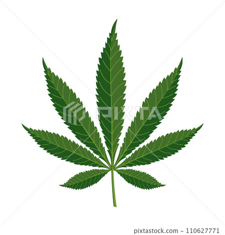 Cannabis leaf on a white background. Marijuana leaf. Illustration, vector 110627771