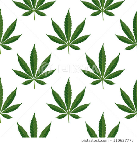 Seamless pattern of hemp leaves. Background of cannabis leaves on a white background. Print, vector Seamless pattern of hemp leaves. Background of cannabis leaves on a white background. Print, vector 110627773