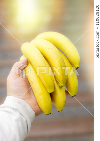 A branch of yellow bananas in a hand on a light background. 110628120