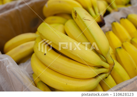 Lots of banana branches in a cardboard box for sale. Lots of banana branches in a cardboard box for sale. 110628123