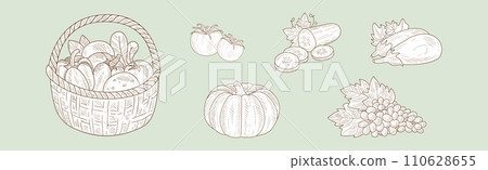 Harvest with Ripe and Mature Crop Sketch Hand Drawn Vector Set 110628655