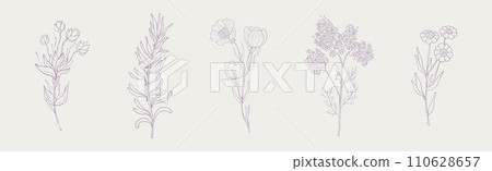 Hand Drawn Flower and Blooming Plant on Stem Vector Set Hand Drawn Flower and Blooming Plant on Stem Vector Set 110628657