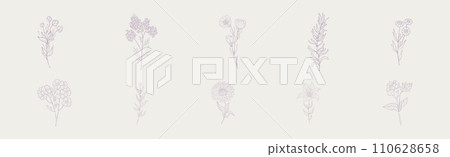 Hand Drawn Flower and Blooming Plant on Stem Vector Set Hand Drawn Flower and Blooming Plant on Stem Vector Set 110628658