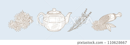 Herbal Tea Item and Element Sketch Hand Drawn Vector Set 110628667