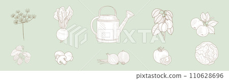 Fresh Garden Crop Harvest Hand Drawn Dill, Plum, Beet, Cabbage and Watering Can Vector Set 110628696