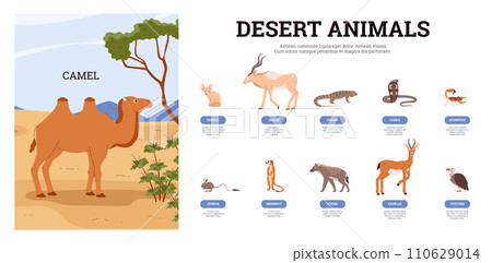 Desert creature with animals and birds name, camel, fennec, jerboa,cobra, different exotic wild tropical habitants 110629014