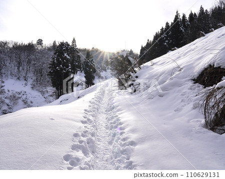 Snow-covered road Snow-covered road 110629131