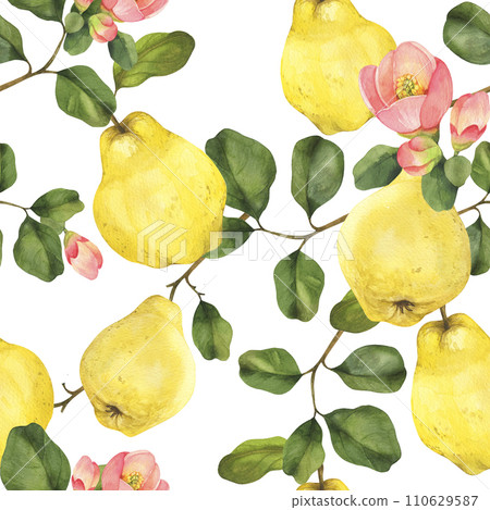 Watercolor quince seamless pattern. Quince fruits, leaves and flowers. Hand drawn on black background perfect for packaging, invitations. 110629587
