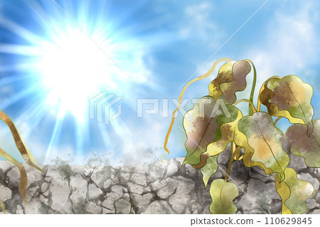 因乾旱而枯萎的農作物 110629845