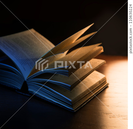 Still life from ancient book 110630224