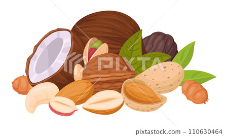 Cartoon nuts mix. Seeds and nuts bunch, cashew, walnut, peanut and almond mix, vegetarian diet organic snack flat vector illustration. Raw nut mix 110630464