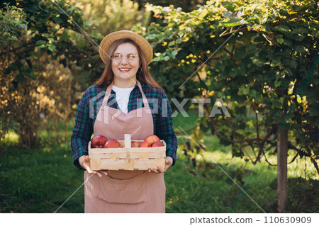 30s young woman in a hat is picking red apples in a basket on nature background. Harvesting apples in an organic garden. Autumn season in orchard. 110630909