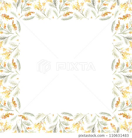 Watercolor floral square frame with beautiful yellow mimosa. Botanical illustration drawn by hand. Use for wedding design, greeting cards, March 8, Mother's Day, invitations, posters, logos. Watercolor floral square frame with beautiful yellow mimosa. Botanical illustration drawn by hand. Use for wedding design, greeting cards, March 8, Mother's Day, invitations, posters, logos. 110631483