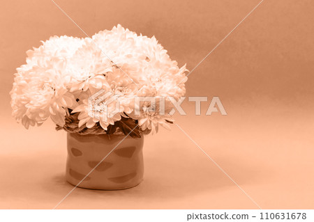 Bouquet of chrysanthemums in a ceramic vase on a peach background. 110631678