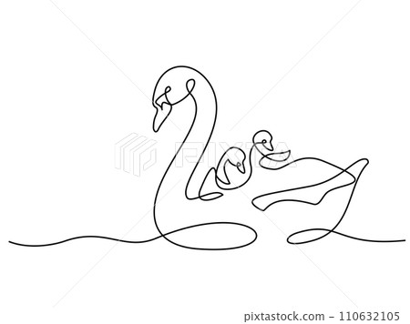 Swan bird with chicks on water surface. Family love. Mothers day concept Swan bird with chicks on water surface. Family love. Mothers day concept 110632105