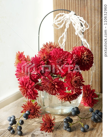red chrysanthemums on the windowsill red chrysanthemums on the windowsill 110632960