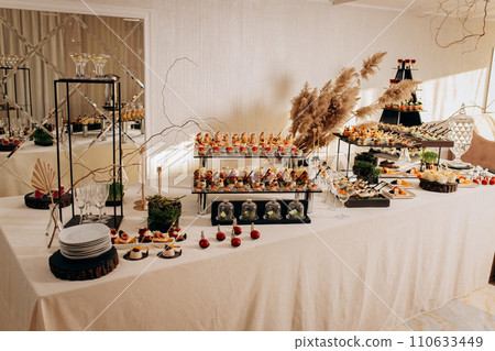Assortment of delicious snacks on the open buffet festive table in restaurant. Catering plate Assortment of delicious snacks on the open buffet festive table in restaurant. Catering plate 110633449