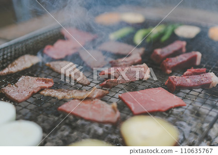 barbecue, barbecued, barbeque 110635767