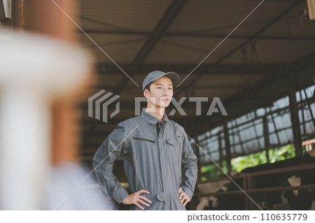 奶牛 牲口 牛 110635779