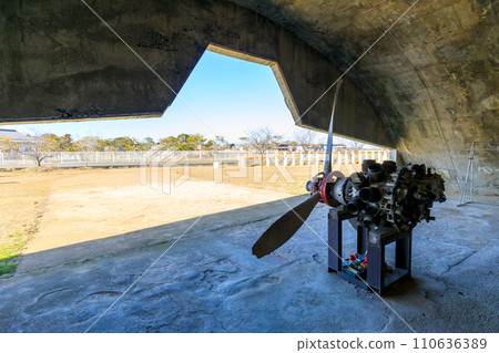 大分縣美國市冬季Joi 1號掩體和零式戰鬥機發動機 大分縣美國市冬季Joi 1號掩體和零式戰鬥機發動機 110636389